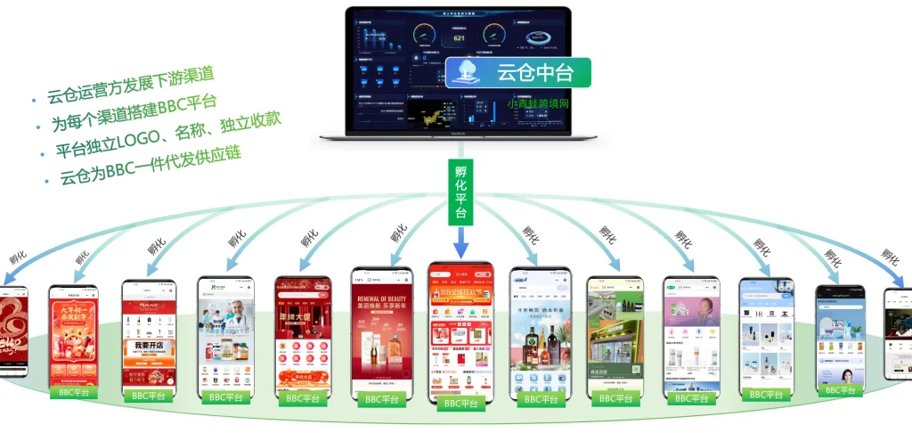 做跨境药,如何用系统搭建多品牌、多站点矩阵