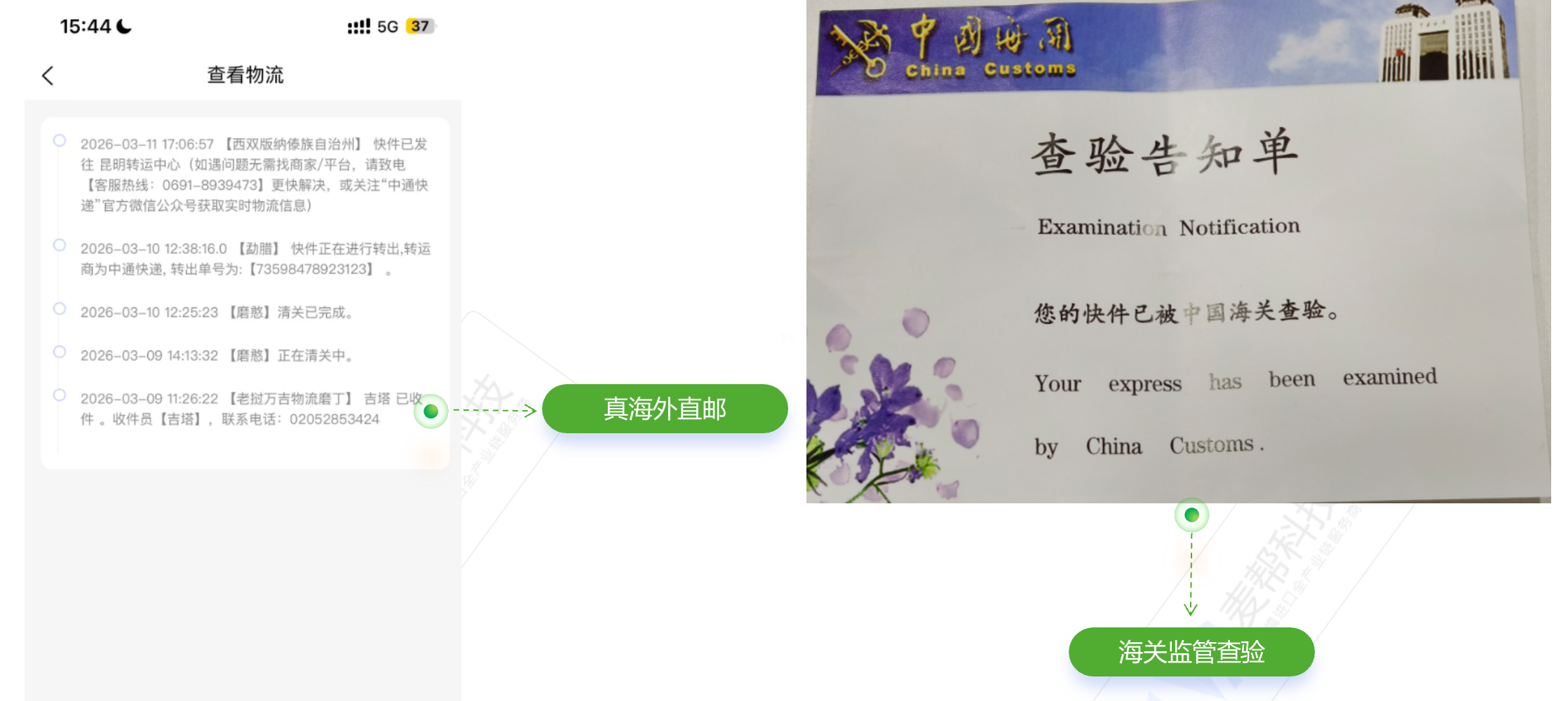 怎么做跨境药电商？四种模式对应不同角色入局