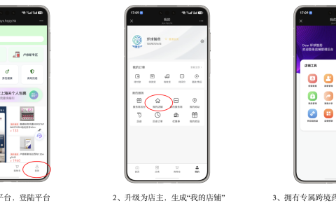 跨境药分销系统：合规前提下快速拓展渠道的正确打开方式